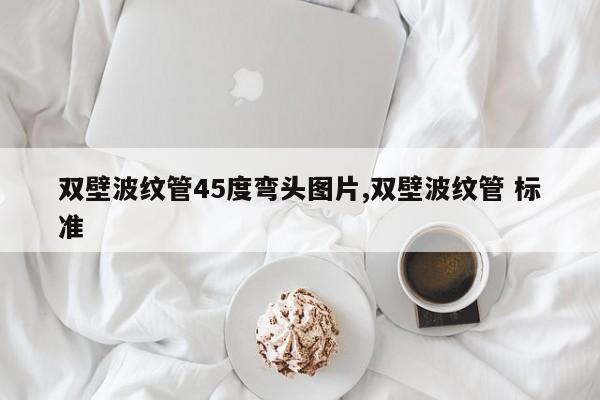 双壁波纹管45度弯头图片,双壁波纹管 标准